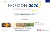 Journée d’information H2020 SC2 Montpellier › pdf › actions-collectives › h2020-klein.pdfDes nouvelles modalités de projet en lien avec le PEI-AGRI Les Réseaux Thématiques: