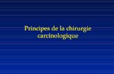 Principes de la chirurgie carcinologiqueclement.ad.free.fr/fac/onco/diapos.ed4b.chir.pdf · 2008-02-17 · Ablation de la tumeur primitive: –Dans l’idéal: passer en zone macroscopiquement