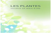 LES PLANTES - SiteW.com · 2015-09-14 · 4 Dans ce catalogue, nous parlons d’algues, de tisanes, de plantes, de phytothérapie, d’aromathérapie et d’hydrolathérapie. Quelques