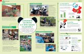 Comment - Accueil - 1jour1actu éducation › wp-content › uploads › 2016 › ... · 2019-08-13 · D’ailleurs, tous les pandas du monde appartiennent à la Chine, même ceux