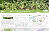 Atlas de la biodiversité N 4 Infos 2018 - Lamballe Terre & Mer · 2018-07-23 · Tous les 2 mois, l’accentest mis sur une espèce. ... d’unequinzaine de chats sur le site, malades,
