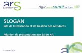 SLOGAN · 2019-02-13 · GT SLOGAN •Objectifs –Poursuivre déploiement en Nouvelle Aquitaine –Poursuivre l’appropriation du logiiel par les ES –Organiser une répartition