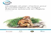 Stratégie et plan d’action pour la conservation du magot Macaca … · 2019-02-08 · L’Algérie, le plus grand pays d’Afrique, abrite plusieurs habitats et espèces remarquables,