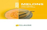 2020 COLLECTION MELONS - HM.CLAUSE › ... › 10 › CLAUSE-BROCHURE-MELONS-2020.pdfMELONS TESTÉS PAR AN Pour évaluer la qualité interne et le goût. + DE 650 PARCELLES PAR AN
