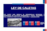 LEY DE CALETAS - SUBPESCA · 2019-04-09 · Foto de Anne Heinrich . Caleta El Membrillo Chile, 1934 Caleta El membrillo, Valparaíso 1950. Chile Caleta Angelmo, Puerto Montt, Chile