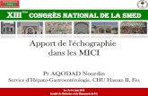 Apport de l’échographie dans les MICIsmed-maroc.org/wp-content/uploads/2016/01/Pr... · XIII congrès national de la SMED Les 5 et 6 Juin 2015 Faculté de Médecine et de Pharmacie