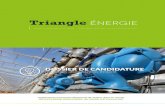 dossier de candidature AMI - Triangle Energie › assets › pdf › dossier_de_candidature...*Comité restreint : un comité restreint comprenant les services de la CC Val Aïgo,