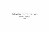 Tibia Reconstruction - Seoul National Universitymrl.snu.ac.kr/workshop/Osteology2011/slides/151128/sehi... · 2016-08-24 · AP Segmentation TH TB FH TFT TFB FB. LatSegmentation .