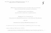Société de Calcul Mathématique, S. A.icm.mcs.kent.edu/research/RMM/archives/IRSN_SCMSA_EPH4.pdf · 2007-04-17 · par la Société de Calcul Mathématique S. A. ... [BB1] is based