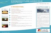 CONJONCTURE AGRICOLE - confederation-paysanneconfederationpaysanne.fr/sites/31/menu1/documents/2014-T4...2013). Pour les laitiers mâles standards 50-60 kg, la moyenne trimestrielle