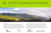 Programme de recherche du GCRAI Les forêts, les arbres et ... · Les forêts se trouvent dans des contextes géographiques, édaphiques et climatiques variés allant des régions