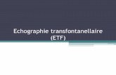 Echographie transfontanellaire (ETF) · 2019-01-14 · L'ETF est l’examen de choix chez le prématuré, et le nouveau né. Son apport, chez le nouveau-né à terme n’est plus