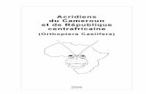 Acridiens du Cameroun et de République centrafricaineacrida.info/PDF2009/Catalogue-Acridiens-2009.pdf · occidentale (cf. catalogue 2006) ainsi qu'au Cameroun et en République centrafricaine.