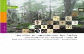 Identifier et caractériser les forêts anciennes du Massif central · 2020-02-28 · 1 Forêts anciennes du Massif central: Enjeux, état des connaissances, boîte-à-outils, perspectives