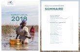 Rapport annuel BACoMaB 2018 SOMMAIRE · pour le classement de la baie de l’Etoile à Nouadhibou a été relancé. Le BACoMaB est résolument engagé pour faire aboutir ce processus