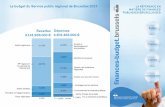 Le budget du Service public régional de Bruxelles 2017 LA ...finances-budget.brussels/sprb3luik2017-light.pdf · engagements et des liquidations, de gestion et de la bonne gestion