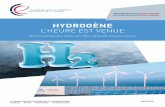 HYDROGÈNE · 2019-12-17 · 6 En qualité de membres du groupe d’études « Hydrogène » de l’Assemblée nationale, nous saluons la publication de ce rapport écrit par le groupe