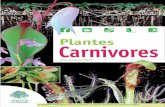 Plantes Carnivores · 2017-11-30 · Plantes Carnivores 5 LES TYPES DE PIÈGES Dans le but d’assurer leur nutrition, les plantes carnivores ont développé un certain nombre d’