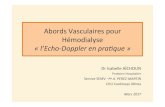 Abords Vasculaires pour Hémodialyse - Doppler · 2017-04-19 · Abords Vasculaires pour Hémodialyse « l’Echo-Doppler en pra0que » Dr Isabelle AÏCHOUN Pracien Hospitalier Service