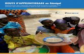 La Route d’Apprentissage au Sénégal ROUTE D’APPRENTISSAGE · PDF file 2017-09-16 · des bonnes pratiques en matière de nutrition ainsi que la consolidation des réseaux et
