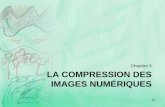 Site WEB de Xavier Heurtebise - Chapitre 5 LA ...x.heurtebise.free.fr/Enseignements/ATER/S3/ImInfo/PDF/...COMPRESSION SANS PERTE : RLE 94 Définition (Run-Length Encoding) Algorithme