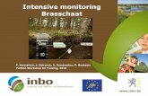 Intensive monitoring Brasschaat - Bayern · Hoeilaart 2102- Zoniënwoud Beech. ... 2007. Thank you! klad mean tree height 21 m mean dbh 0.29 cm tree/stand age 80 year a (valid for