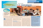 JAMAïque Reportage La Jamaïque, - L'Echo Touristiquedescendre les clients de Vacances Transat, co-affréteur) mais est direct au retour. Look Voyages en est l’affréteur principal.