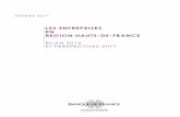 LES ENTREPRISES EN REGION HAUTS-DE-FRANCE...2018/02/13  · Les entreprises en Région Hauts-de-France es Bilan 2016 – Perspectives 2017 Tous les graphiques de ce document sont réalisés