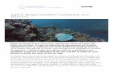 ALERTE BLANCHISSEMENT CORALLIEN À LA RÉUNION · 2016-03-18 · Un programme de recherche régional (CORDIO, Coral Reef Degradation in the Indian Ocean) piloté par nos collègues