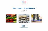 RAPPORT D’ACTIVITE - economie.gouv.fr · 2018-07-31 · Au cours de cette année, le groupe permanent « agroalimentaire et nutrition » s’est réuni à quatre reprises afin,