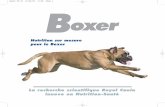 Nutrition sur mesure pour le Boxer Boxer FR.pdf · Le Boxer est d’abord et avant tout un chien dynamique. Cette image de chien sportif n’est pas usurpée : anatomiquement et physiologiquement,