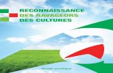 Reconnaissance des RavageuRs des cultuRes - Pays de la Loire · 2017-06-29 · É dito Observer pour bien décider B ien connaître les ravageurs pour choisir le moyen de lutte le