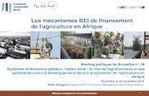 Les mécanismes BEI de financement de l'agriculture en Afrique...Banque européenne d’investissement 1 Les mécanismes BEI de financement de l'agriculture en Afrique Bruxelles, le