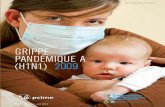 Organisation panaméricaine de la Santé GRIPPE · 2010-10-26 · La grippe A (H1N1) 2009, est une pandémie univer-selle qui touche la majorité des pays de la région avec différents