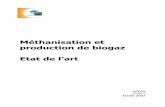 Méthanisation et production de biogaz Etat de l’art · Au cours de l’hydrolyse et de l’acidogénèse, la matière organique est hydrolysée en monomère et transformée par