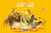 AFRICAINE LA GRANDE MAGIE 2 - Les Voyages de …...des sublimes Chutes Victoria. Un rideau de cataractes, long de 1.700 m, s’effondre sur une hauteur de 128 m, soit deux fois plus