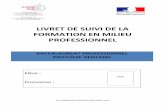 LIVRET DE SUIVI DE LA FORMATION EN MILIEU PROFESSIONNELsbssa.spip.ac-rouen.fr/IMG/pdf/livret_de_suivi_mis_sur_le_site.pdf · A3.5 Analyser le modèle au paralléliseur A3.6 Préparer