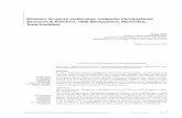 Révision du genre endémique malgache Paralygdamia Saussure & …sciencepress.mnhn.fr/sites/default/files/articles/pdf/z... · 2016-09-21 · The endemic malagasy genus Paralygdamia