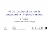 Virus respiratoires: de la botanique à l'impact clinique · • RSV et nouveaux-nés: le prototype – Pneumonies virales rares: H1N1, RSV, PIV3 ♦Durée chez l’hôte immunocompétent: