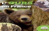 L’ OURS en France · les saisons. L’ours brun vit en Eurasie et en Amérique du Nord. L’ensemble des ours bruns européens et nord-américains appartient à la même espèce