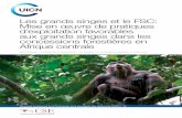 Les grands singes et le FSC: Mise en œuvre de …...en Afrique centrale (FAO 2011; Tableau 1) et la surface de forêts consacrée à la production était de 598.440 km2 en 2010 (FAO