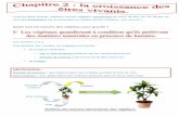 Quels sont les besoins des végétaux pour grandircourbet-col.spip.ac-rouen.fr/IMG/pdf/6e_M-Vallet_Chap_3... · 2012-01-03 · Sels minéraux = tous petits éléments minéraux présents