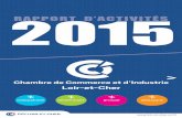 RAPPORT D’ACTIVITÉS 2015 - Loir-et-Cher...Rapport financier 2015 CCI LOIR-ET-CHER CHARGES 7 227 k€ PRODUITS 7 278 k€ ACTIF PASSIF 3 669* 632 1 986 674 105 161 Budget de fonctionnement