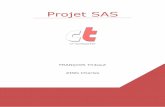 Projet SAS - cz-developpement.com SAS.pdf · Guide des bonnes pratiques en informatique. Choisir aves soin ses mots de passe : Votre mot de passe permet de vous authentifier à votre