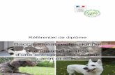 “Conduite et gestion d’une entreprise du secteur canin et ...sites.ensfea.fr/physique-chimie/wp-content/uploads/sites/10/2016/09… · Référentiel de diplôme créé par arrêté
