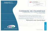 CARRIERE DE PICAMPOIX - Préfecture de la Nièvre · Novembre 2014 12/110277 ‐ Carrière de Picampoix 2 RESUME NON TECHNIQUE SOMMAIRE ...