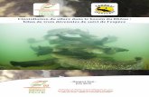 L’installation du silure dans le bassin du Rhône : bilan ... · L’installation du silure dans le bassin du Rhône : bilan de trois décennies de suivi de l’espèce - Rapport