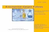 Modèles d’analyse stratégique Mme Motelay · 2014-05-21 · I. Présentation de l’entreprise Geyer Frères La limonaderie Geyer Frères, installée à Munster (Moselle) depuis