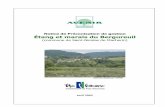 .tang et marais du Bergureuil A - AVENIRavenir.38.free.fr/images/docs/Etang-marais-Bergureuil-PV.pdf · 2006-09-12 · Notice de préconisation de gestion de l’étang et du marais