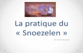 La pratique du Snoezelenprojet.chu-besancon.fr/rfclin/rfclin_secu/user/ide_terri... · 2014-09-19 · Définition • Approche non médicamenteuse • basée sur une stimulation sensorielle